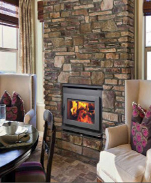 Pacific Energy FP30 Fireplace