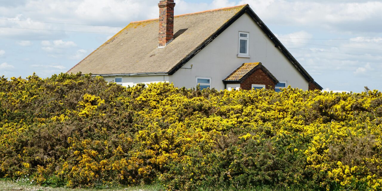 Is Chimney Repair Covered by Homeowner’s Insurance?